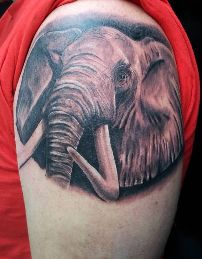 Outcast Tattoos 818 - Beautiful Leg Piece By @tattoosbymaks 🔥 DM or  WhatsApp For Bookings.. #elephant #tattoo #legtattoo #legsleevetattoo  #africa #tattoodesign #outcast | Facebook